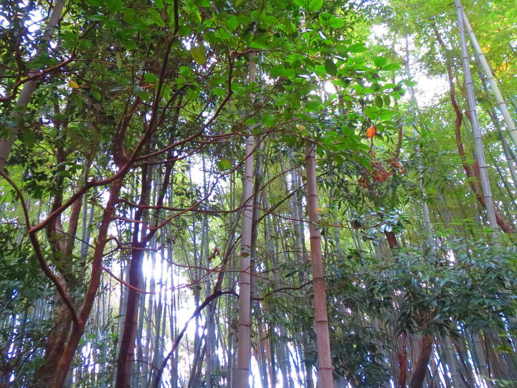 Murasakino Guesthouse Kyoto Bagian luar foto