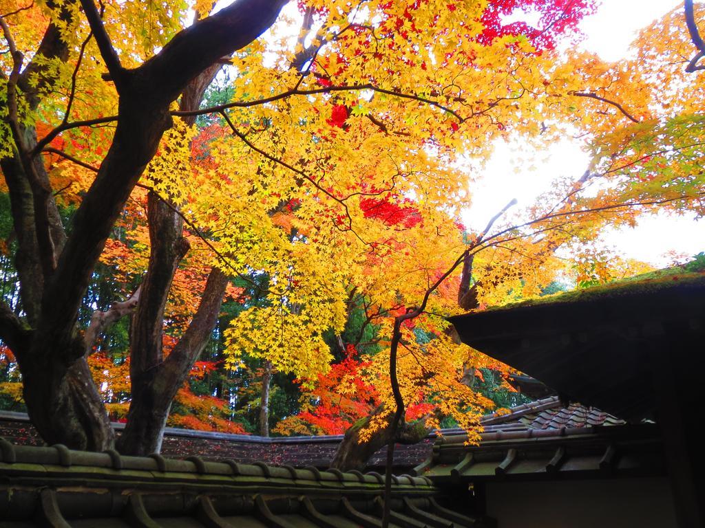 Murasakino Guesthouse Kyoto Bagian luar foto
