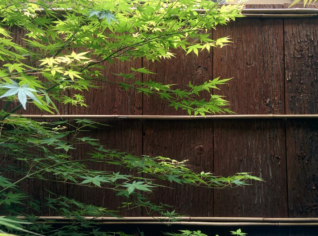 Murasakino Guesthouse Kyoto Bagian luar foto